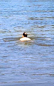 'Asienreisender, Crossing the Mekong River by Swimming' by Asienreisender